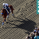 Image for article titled The Best Horses Of 2015